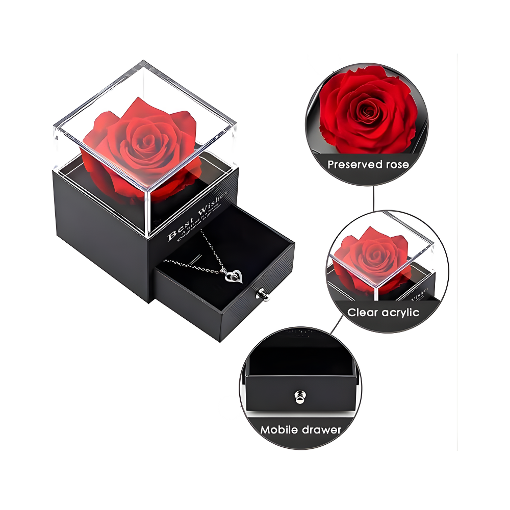 Collar Rosa Eterna: Te amo en 100 idiomas.